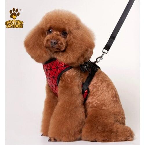 Fashion Bat Pattern Pet Vest Clothes Dog Harness with Leash Adjustable Soft Padded Dog Vest For Small Dog Funny Outdoor Wear