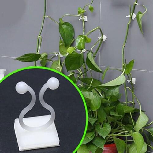 20pcs Plant Climbing Wall Self-Adhesive Fastener Tied Fixture Vine Buckle Hook Clips Cable Manager Garden Decoration Holder Hook