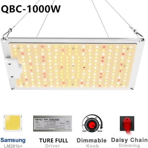 ZHANGJUNYAO LED Bulbs