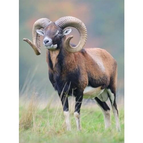 DIY Diamond Painting Animals Mouflon Ovis Musimon Cross Stitch Kit Full Drill Embroidery Mosaic Art Picture of Rhinestones Gift