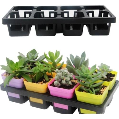 8 Cells Grid Succulant Planter Plastic Flowerpot Plant Pot Seed Tray for Cactus Succulant Bean Sprouts Seedlings Small Flowers