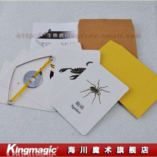 Animal Prediction card magic card trick animal trick magic props magic toys