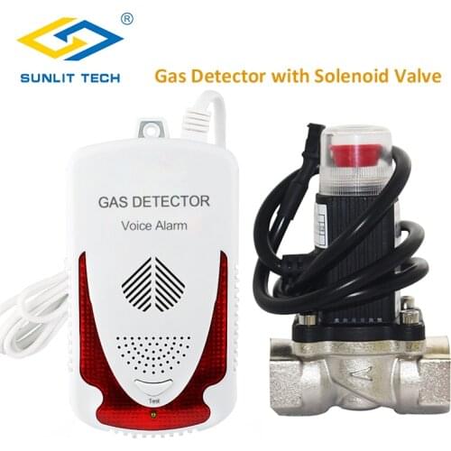 Gas Detector Household Combustible Gas Leak Detector Natural Gas Sensor LPG Alarm System with Solenoid Shut off Brass Valve DN20