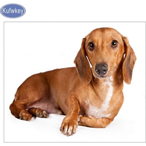 Full square diamond 5d diy Diamond Embroidery,Dachshunds dog Diamond Painting cute pet,3d Cross Stitch,Mosaic puzzles,animal,art