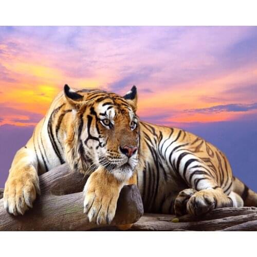 5d Diy Round Diamond Embroidery Tiger Diamond Painting Cross Stitch Full Square Drill Rhinestone Mosaic Decoration Painting