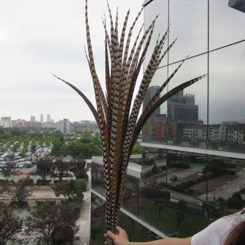 YY-tesco 50Pcs 150-160CM Natural Rare Reeves Pheasant Tail Feathers High Quality Carnival Decorations Pheasant Feathers plume
