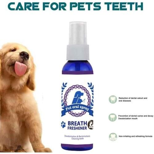 HOUSEEN Stain And Odor Removers