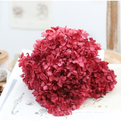 Dried flower claret 20G DIY material Grade A Anna Folium Hydrangea polychrome wedding decoration table
