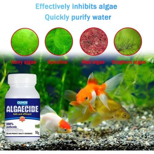 80g High Efficiency Algaecide Algae Moss Reduce Control Water Purification Safe Efficient Algaecide For Aquarium Pond Pools
