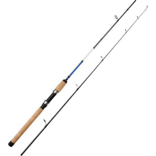 2021 New Chinese Fishing Rod Carbon 1.8 M 2.1m 2.4m 2 Segments Lure Fishing Rod Carbon Fiber Spinning Fishing Rods