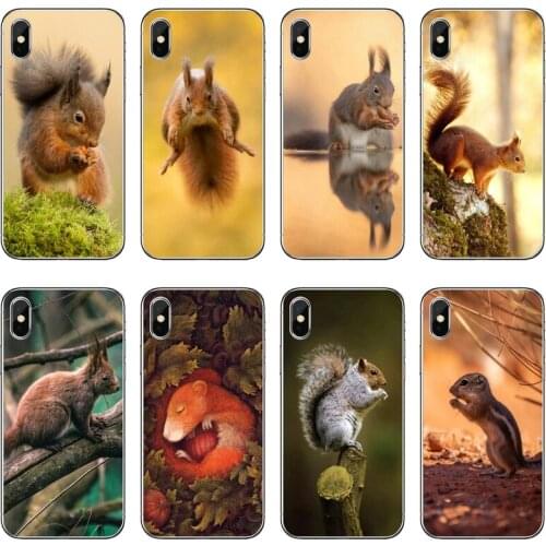 Cute Squirrel Soft Phone Case For Samsung Galaxy A70 A60 A50 A40 A30 A10 A9 A7 A5 A3 A8 A6 Plus 2018 2017 2016