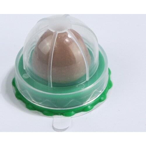 Cat Solid Nutrition Energy Ball Long-Term Consumption Effect Cat Mint Sugar Cream Nutrition Healthy Candy Licking Snack Toys