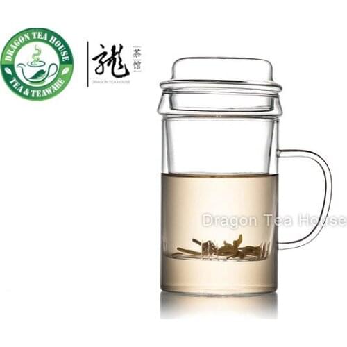 Clear Glass Mug With Lid & Filter 400ml B-231S3