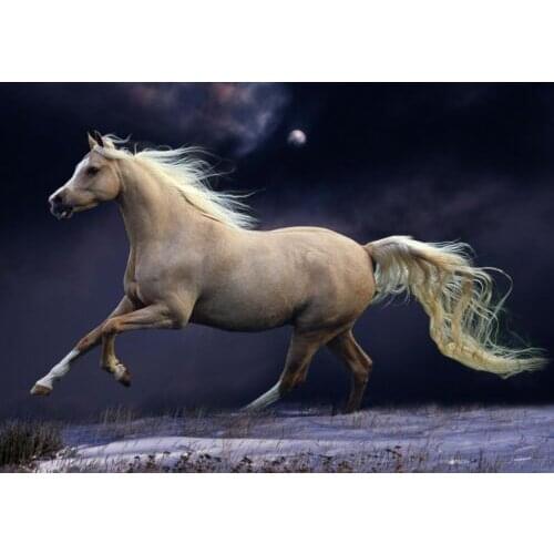 Horse Running Art Film Print Silk Poster Home Wall Decor 24x36inch