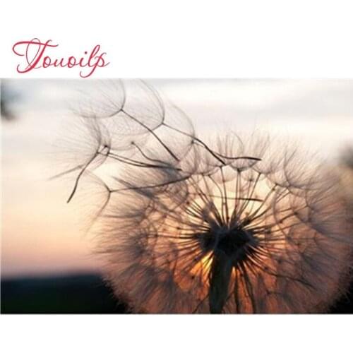 Full 5D Diy Diamond Painting Cross Stitch Sunset Dandelion 3D Diamond Painting Round Rhinestone Picture Embroidery WHH