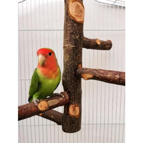 Wooden Bird Stand Fork Perch Parrot Toy Natural Standing Stick Pole Parakeet Perches Bite Claw Grinding Cage Accessorie 2021 New