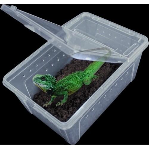 Reptile transparent plastic box breeding habitat lizard snake amphibious frog spider box