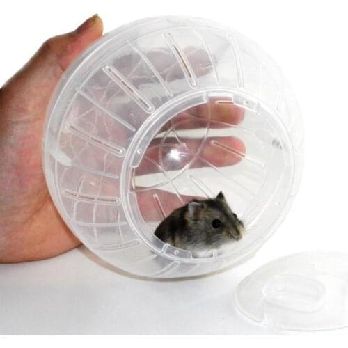 HobbyLane 10cm Plastic Pet Rodent Mice Jogging Ball Toy Hamster Gerbil Rat Exercise Balls Play Toys