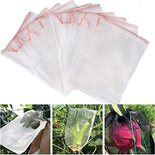 10PCS Garden Crop Plant Protection Net Drawstring Pocket Fruit Netting Anti Pest Insect Animal Bird Net Vegetable Care Mesh Nets