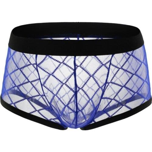Sexy Breathable Thin Boxer Men Mesh Transparent See Through U-convex Underwear Lingerie Gay Low Rise Underpants