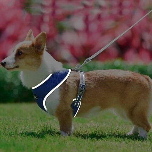 Reflective Dog Harness Walking Running Vest Ajustable Small Medium Dogs Nylon Lead Rope Safety Breathable Harnesses Leash Set