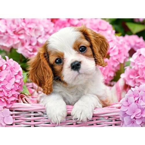 DIY Digital Painting By Numbers Package Flower basket puppy oil painting mural Kits Coloring Wall Art Picture Gift frameless