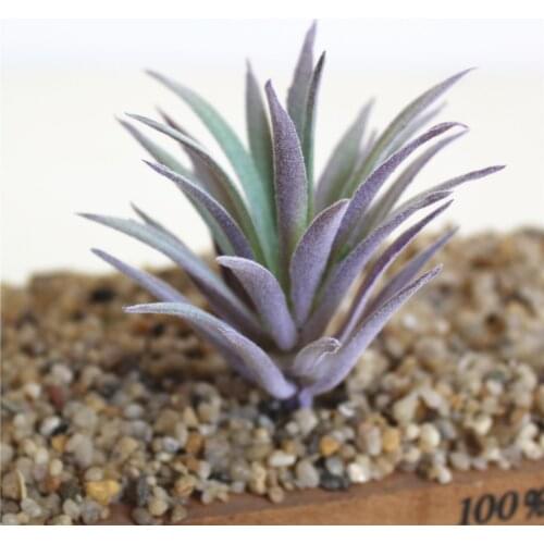 Purple Flocking Artificial Succulents Plants Home Garden Decoration DIY Plants Wall Flower Arrangement Fake Plants