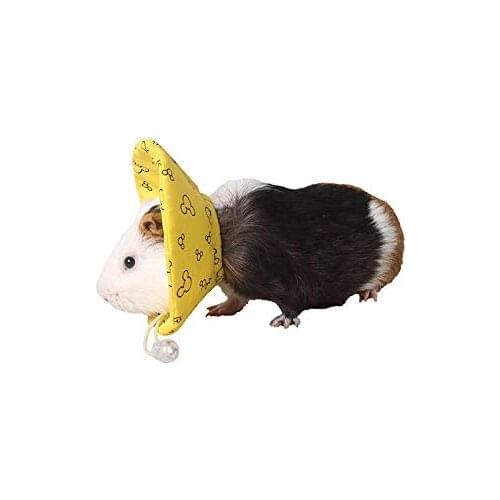 Small Pets Protection Cone Neck Recovery Collar Adjustable E-Collar for Guinea Pig Mouse Rats Ferret Squirrel Chinchilla Kitten