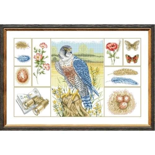 DreampatternPeregrin falcon study cross embroidery kit animal pattern 18ct 14ct 11ct unprint canvas Cross-stitch DIY needlework