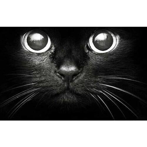 Diy diamond painting animal diamond cross stitch crystal round diamond sets unfinished full diamond embroidery cat