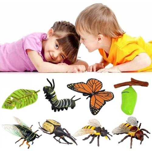 Insect Toys Simulation Dragonfly Model Action Figures Plastic Insect Model Cognition Educational Kids Toy