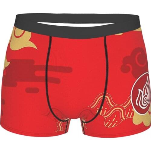 Avatar The Last Airbender Aang Katara Zuko Sokka Momo Comics Fire Nation SUNSET Underpants Homme Panties Man Underwear