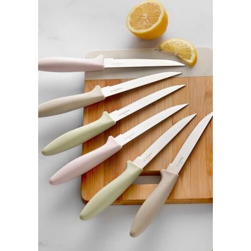 Vegetable Fruit Chopping Knife 6 Piece Multi Color Seçenekli Serrated Knife Chopping and Slicing Knife Set