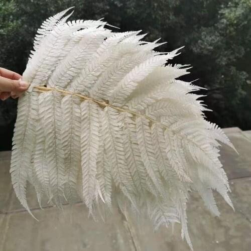 25*40CM/10pcs,Natural Fresh Preserved Fiddlehead Ferns,Eternelle Flower Leaves for Wedding Home Decoration Accessories