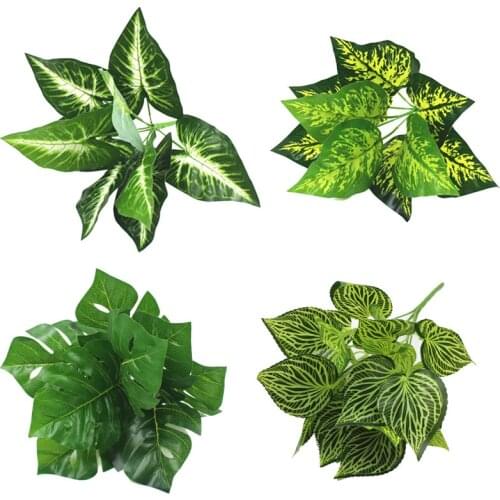 Home garden plant Plastic large Leaf Callas Turtle zebra leaf plant for home decoration