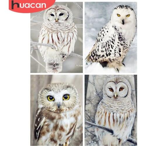 HUACAN 5D Animal Diamond Painting Full Square Drill Diamond Embroidery Cross Stitch Owl Crystal New Shelves