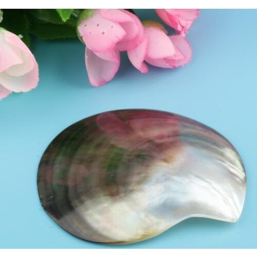 Premium Natural Seashells Jewelry Making Specimen Landscape Home Decor Easy and Convenient for Use