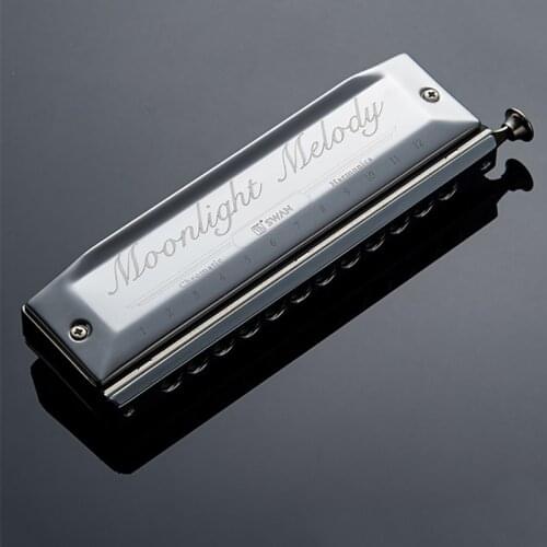 Swan Chromatic Harmonica 12 Holes 48 Tone Gaitas Harmonicas Circular Arc Blow Hole Mouth Ogan Silver Chromatic Harmonica 12