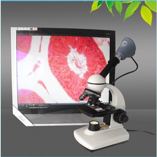 China Manufacture Wholesale Student Monocular Biological Compound Microscope TXS05-05B