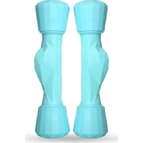 Dumbbells for Household Ladies, Gym Thin Arms, A Pair of Adjustable and Removable Weights, Small Barbells, Special Equipment XB