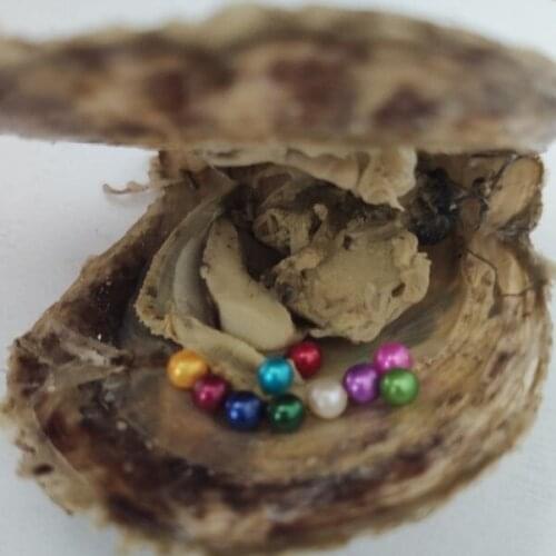 Fashion 10 Pearls Akoya Mini Monsters 3-4MM Baby Round Pearls in Akoya Shells, Multiple Mini Pearls Akoya Oysters PO01