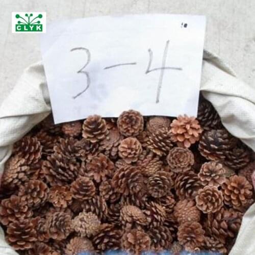 Naturally Dried Pine Cones Pinecone Xmas New Year Holiday Party Decoration Christmas Decoration Home Supplies 3~4CM/2pcs