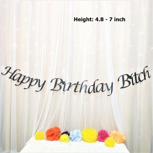 Happy Birthday Bitch Hanging Banner For Birthday Party Girls Night Bridal Shower Birthday Party Decoration Photo Prop Wall Decor