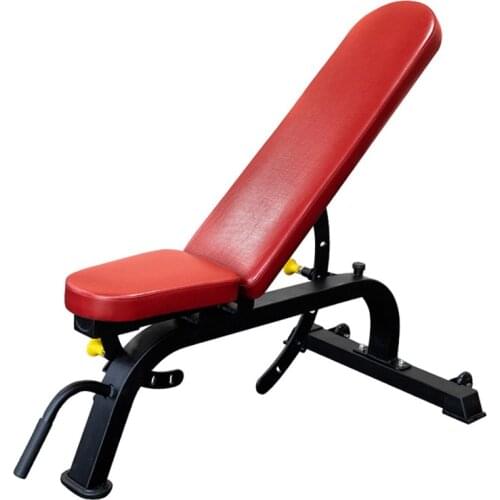 Global Popular Indoor Fitness Home Sports Equipment High-End Quality Assurance Bird Chair Dumbbell Bench