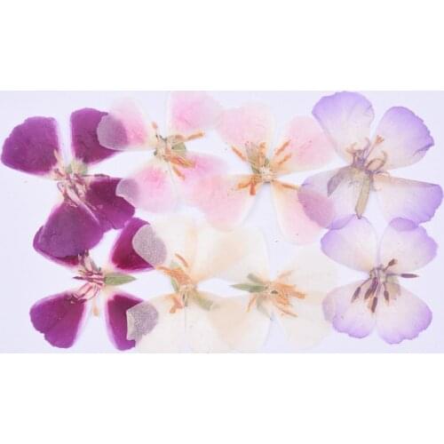 6pcs DIY Dry Flower Candle Making Mobile Phone Case Face Decoration Kindergarten Manual Bookmark Desk Lamp Party Supplies