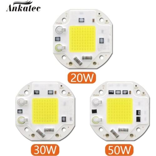 10pc AC110-220V High Power LED COB Chip Diode Lamp 20W 30W 50W white Warm White LED Matrix For DIY Outdoor Floodlight Spot Light