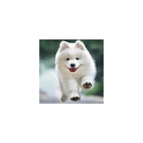 Diamond mosaic needlework wall decorative picture Embroidery with diamond Painting by numbers rhinestones Run dog pictures Y599