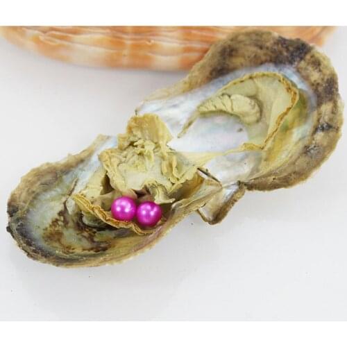 Oyster Two Pearls Live Party Gift 20pcs Vacuum-packed Akoya Pearl Oysters 6-7mm Pink Round Twin Akoya Pearls in Saltwater ABH714