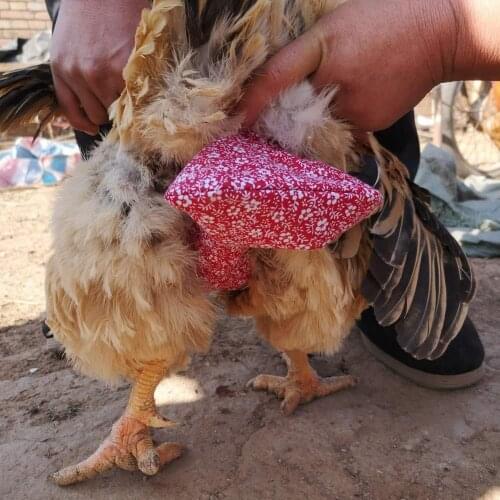 Pet Chicken Diaper V-type Duck Diaper Goose Pigeons Prevent Squatting Defecation Positioning Diaper Pet Chicken Cleaning Supplie