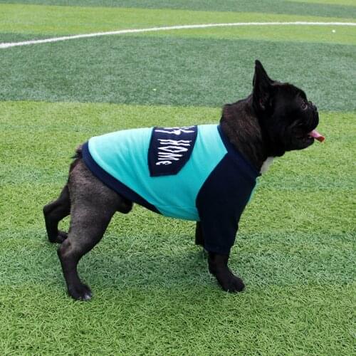 Dog Shirt Dog Cooling Vest - Soft Breathable Instant Cooling T Shirt Hot Summer, Absorb Water and Evaporate Quickly for Dogs